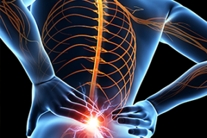 Erase My Back pain Benefits