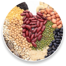 Phytosterols (Campesterol)