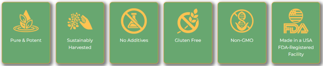 Pure Moringa-Powder Capsules 