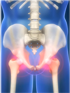 The Bone Density Solution Benefits.