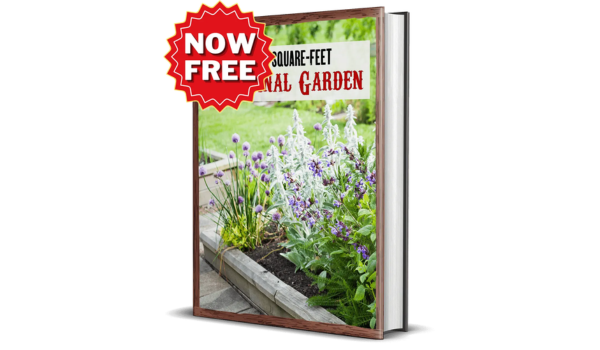 The Lost Frontier Handbook Bonus 1