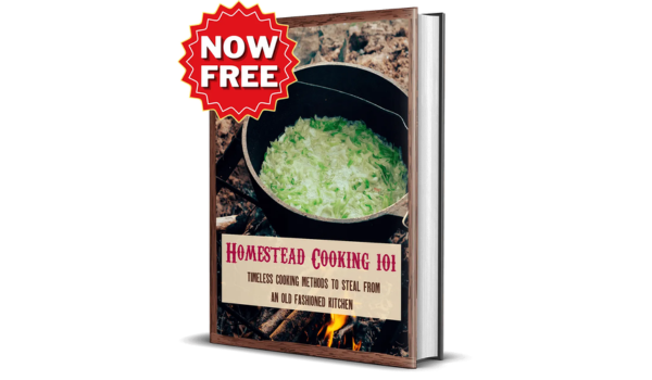 The Lost Frontier Handbook Bonus 3