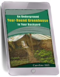 The Lost Superfoods Bonus1