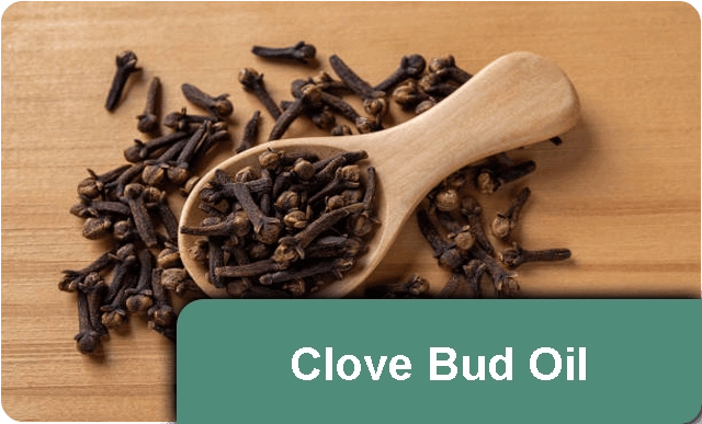 Clove-Bud-Oil