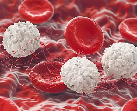 HeartAide Foamy Cells